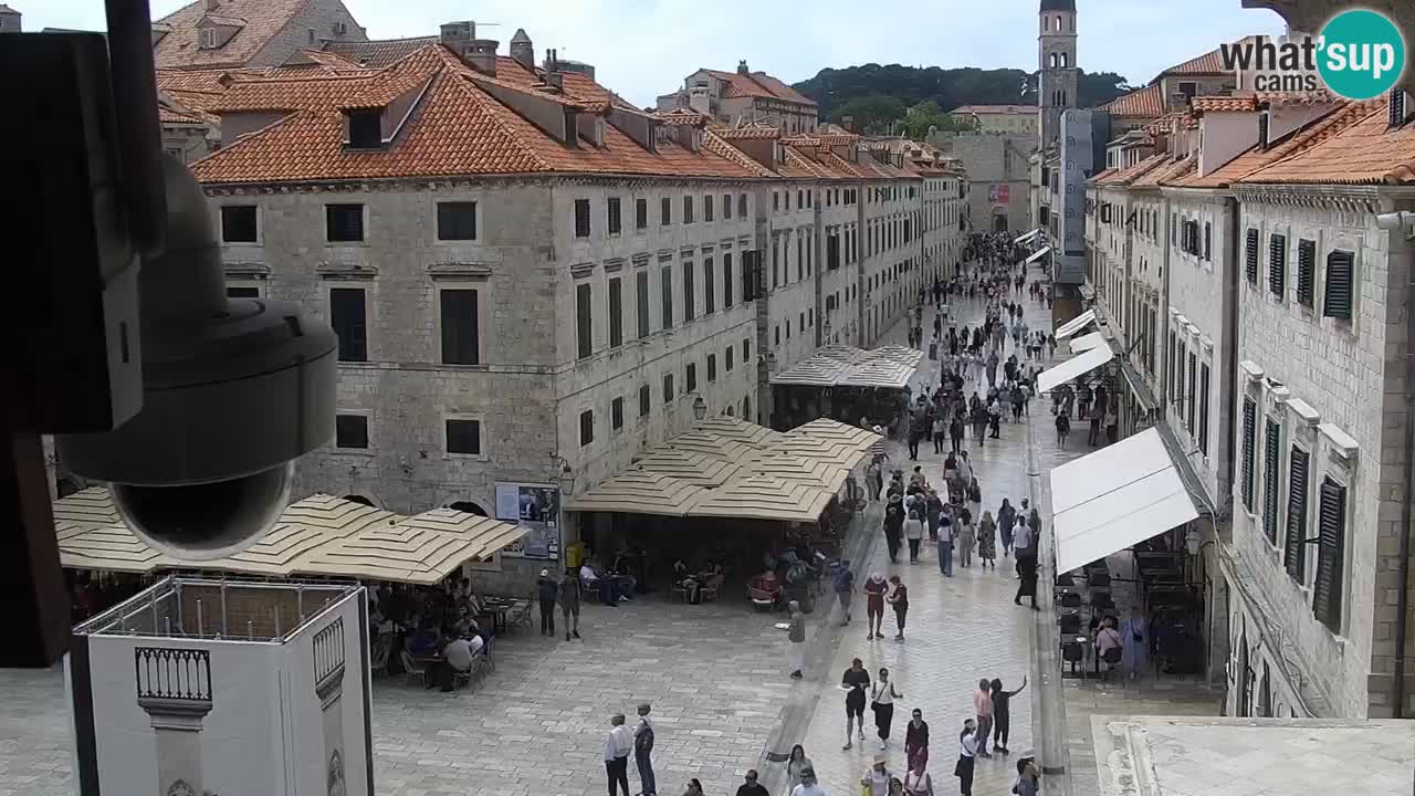 Livecam Dubrovnik Stradun