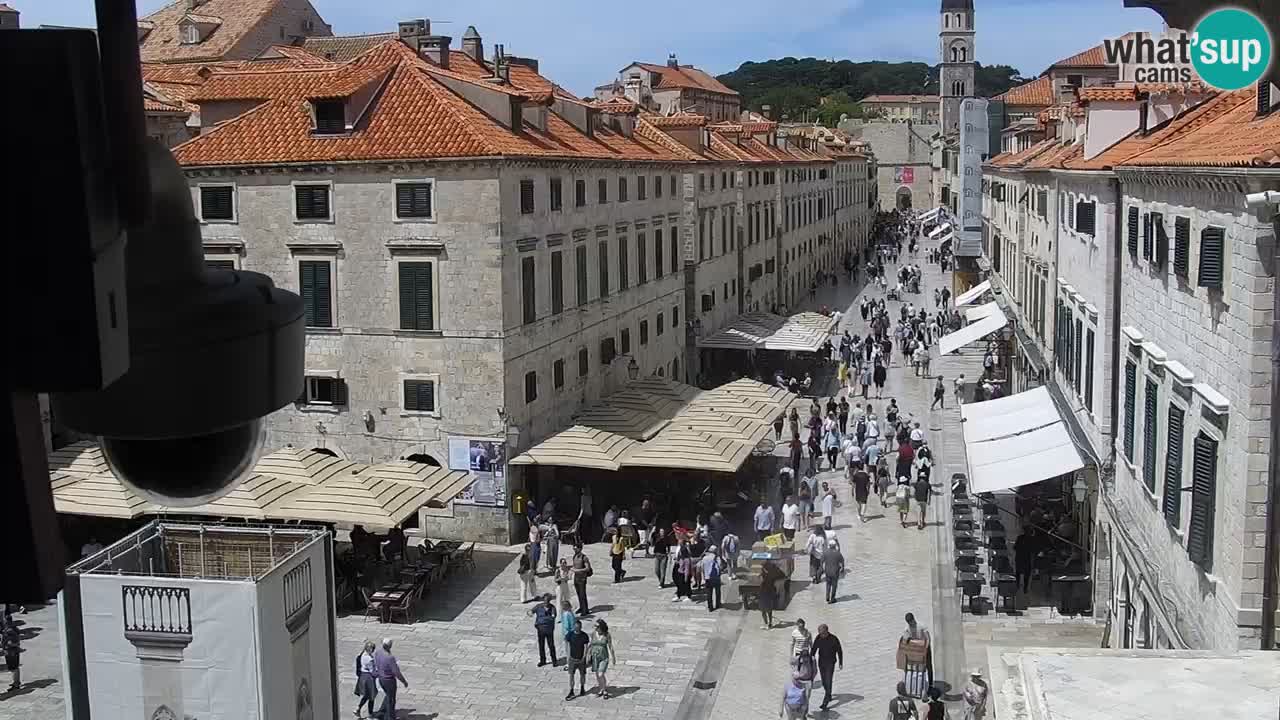 Livecam Dubrovnik Stradun