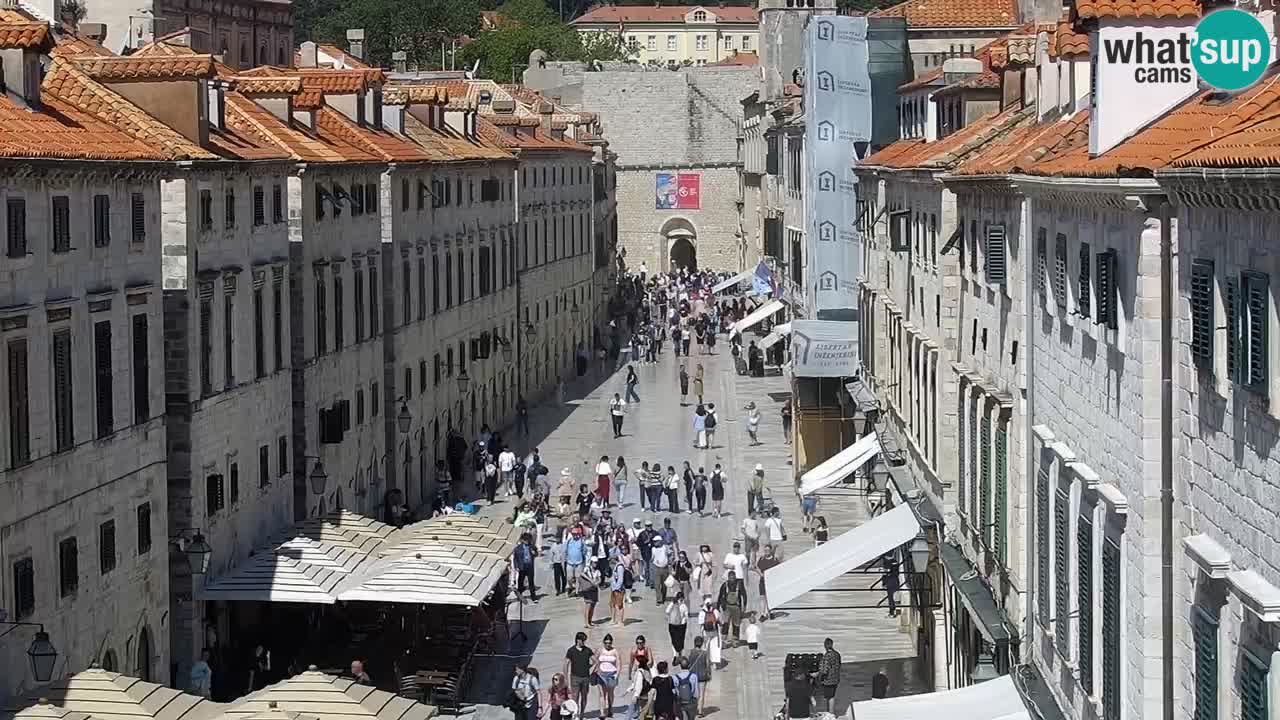Live Webcam Dubrovnik Stradun
