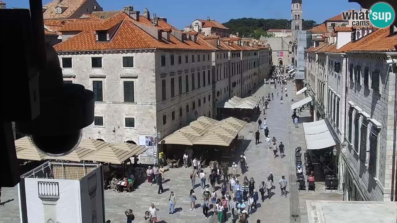 Livecam Dubrovnik Stradun