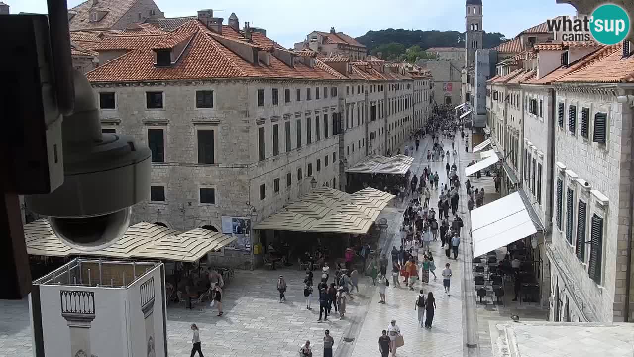 Livecam Dubrovnik Stradun