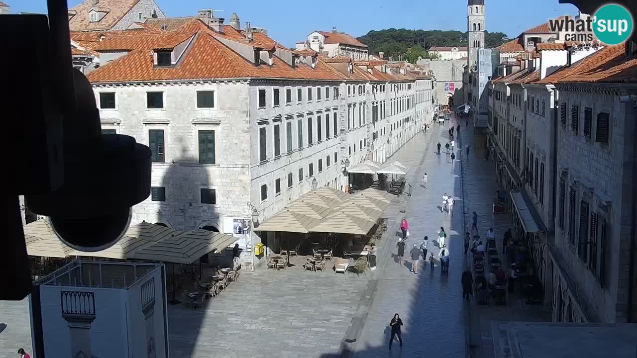 Live Webcam Dubrovnik Stradun