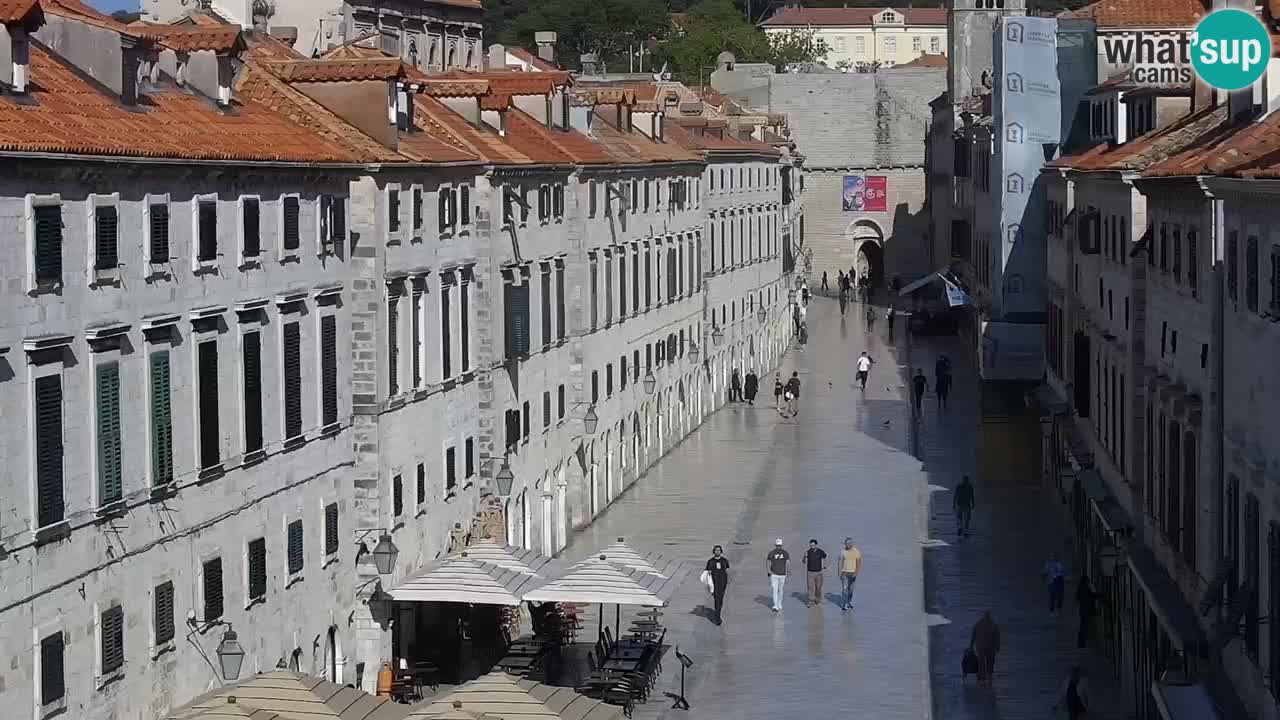 Live Webcam Dubrovnik Stradun