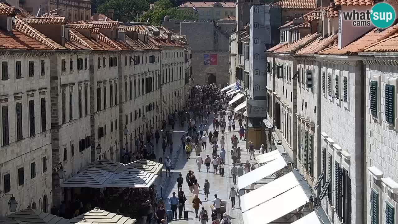 Livecam Dubrovnik Stradun