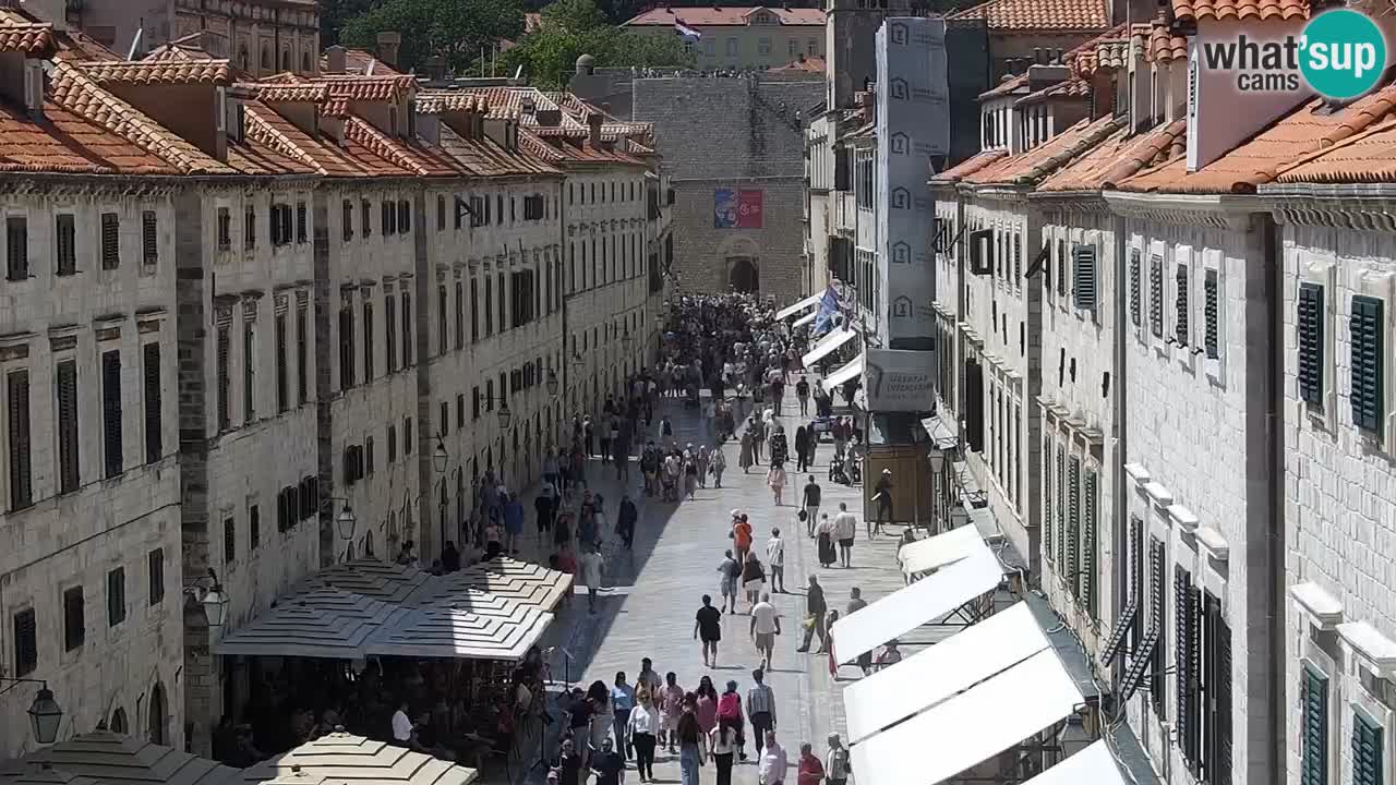 Live Webcam Dubrovnik Stradun