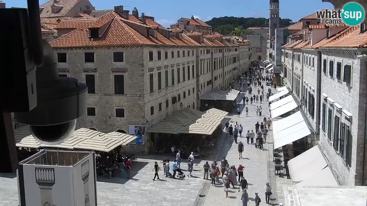 Live Webcam Dubrovnik Stradun