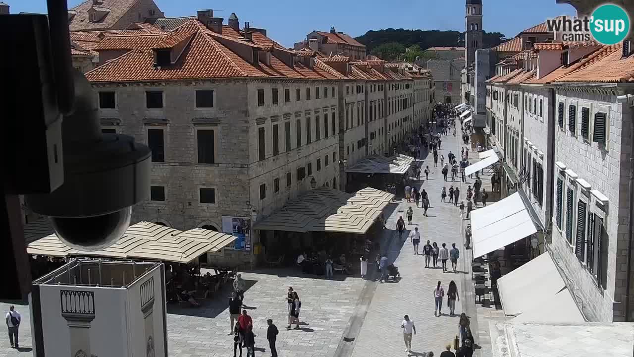 Livecam Dubrovnik Stradun