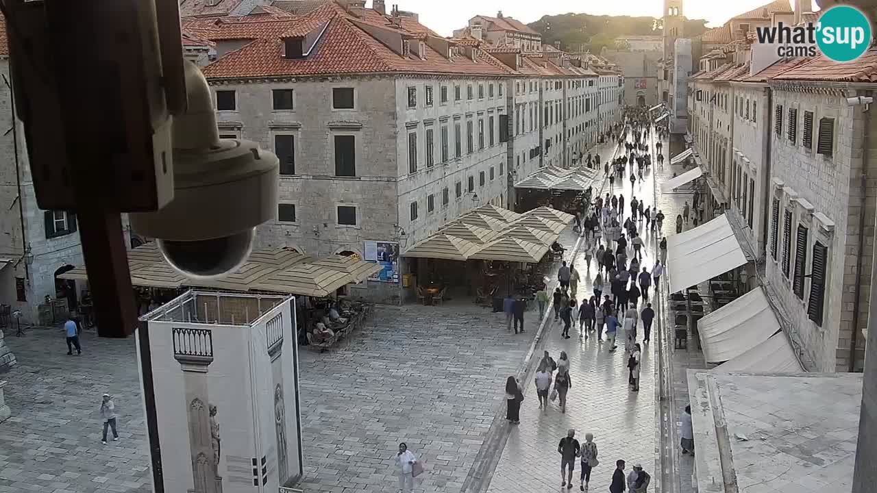 Live Webcam Dubrovnik Stradun