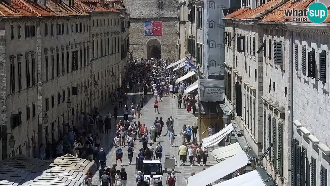 Live Webcam Dubrovnik Stradun