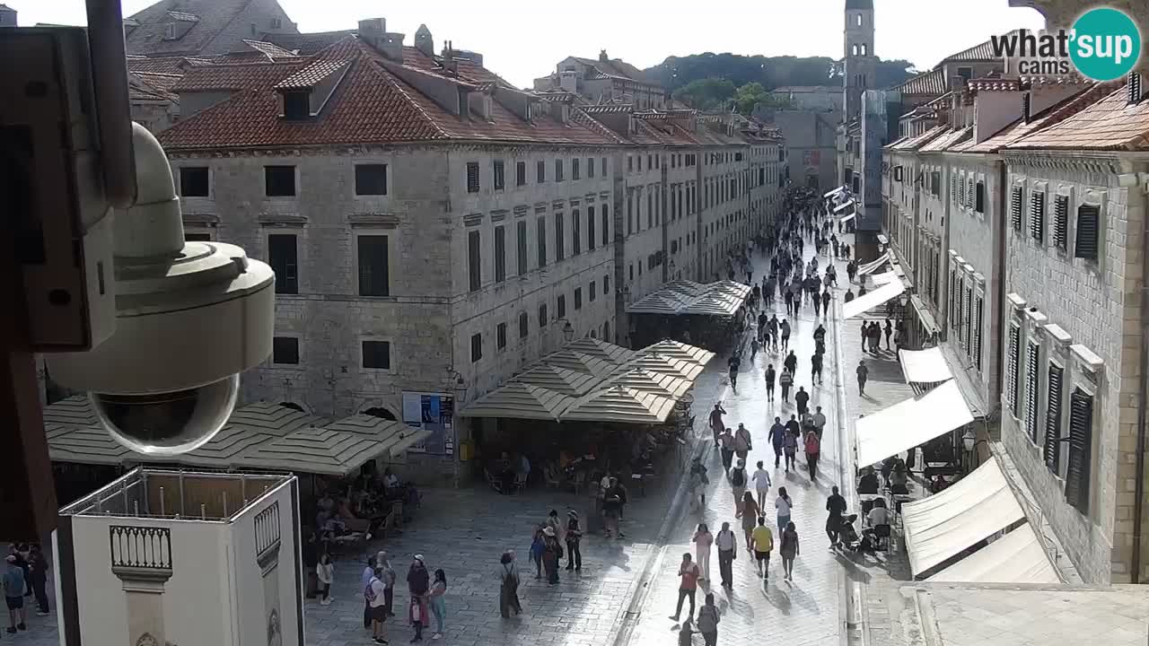Livecam Dubrovnik Stradun
