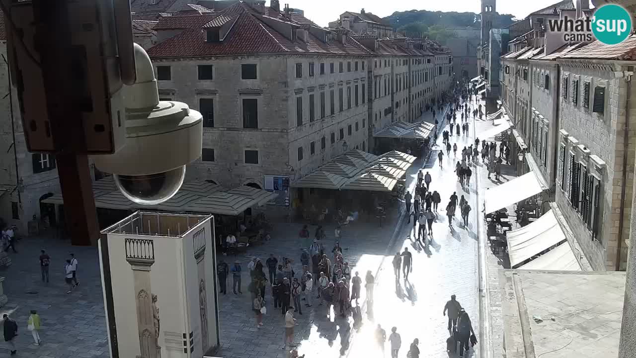 Live Webcam Dubrovnik Stradun