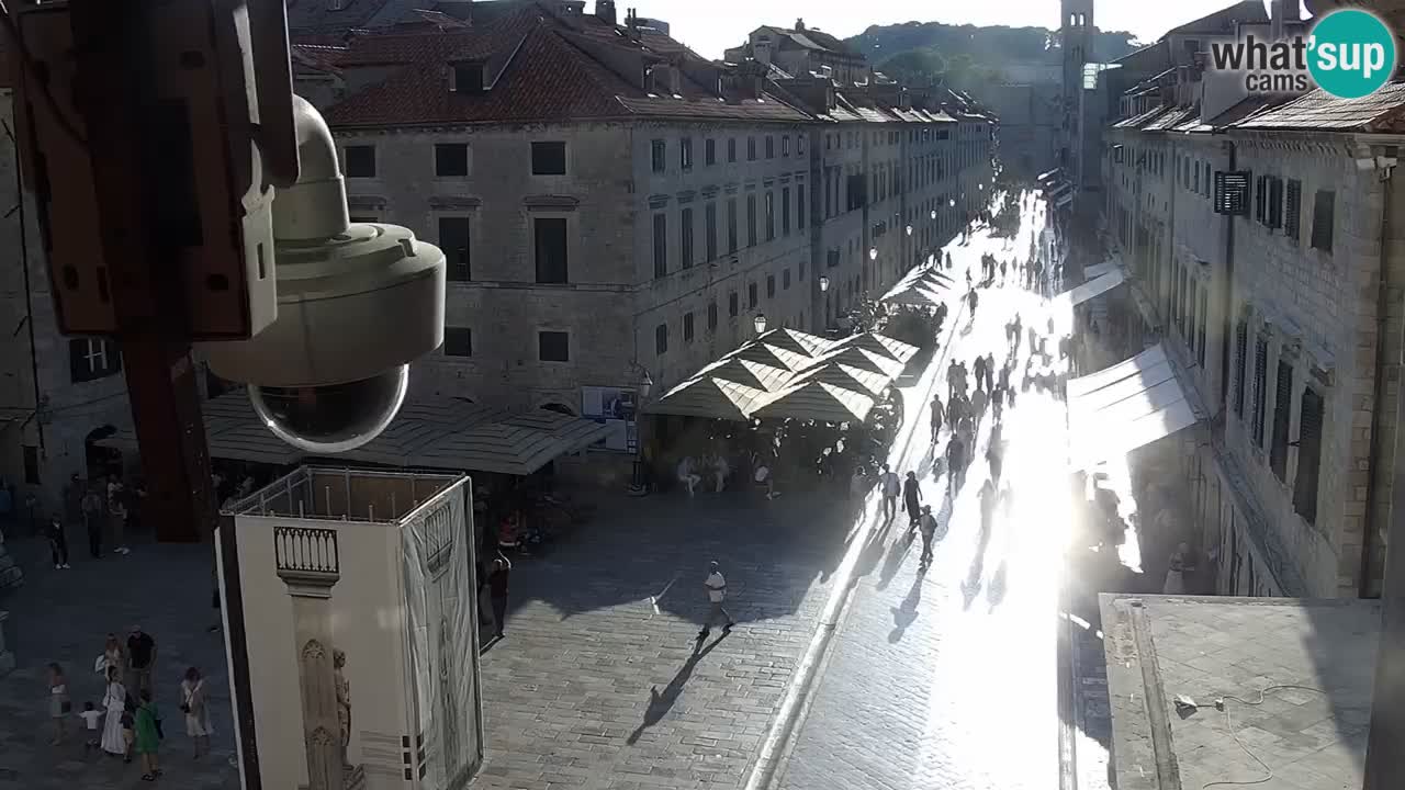 Livecam Dubrovnik Stradun