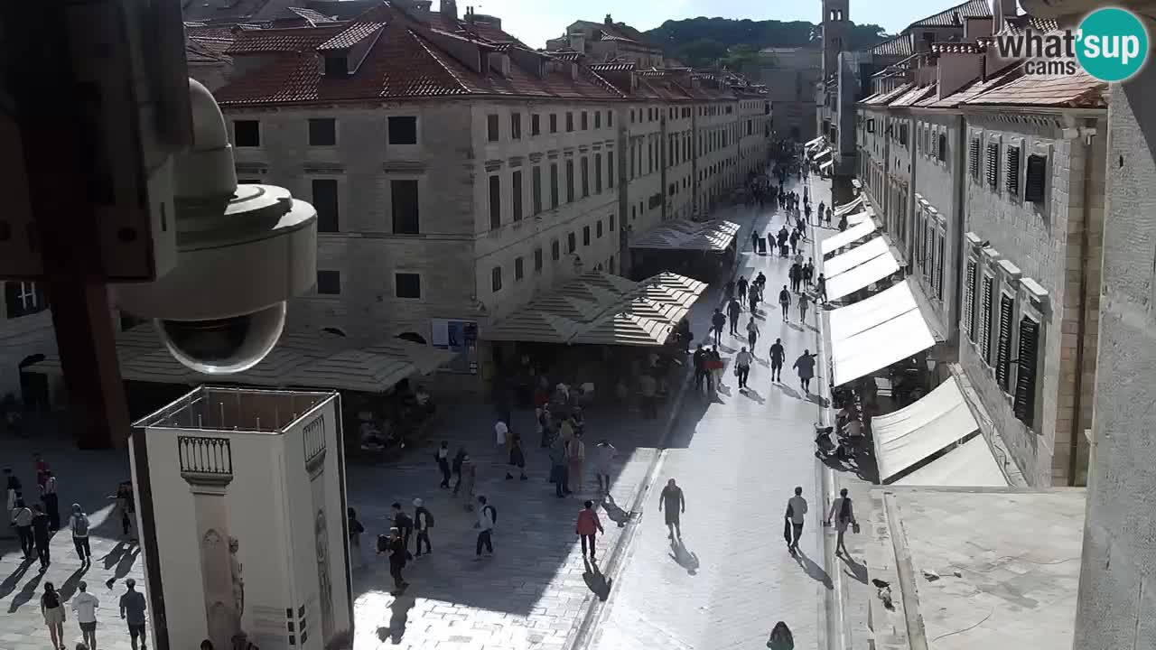 Live Webcam Dubrovnik Stradun