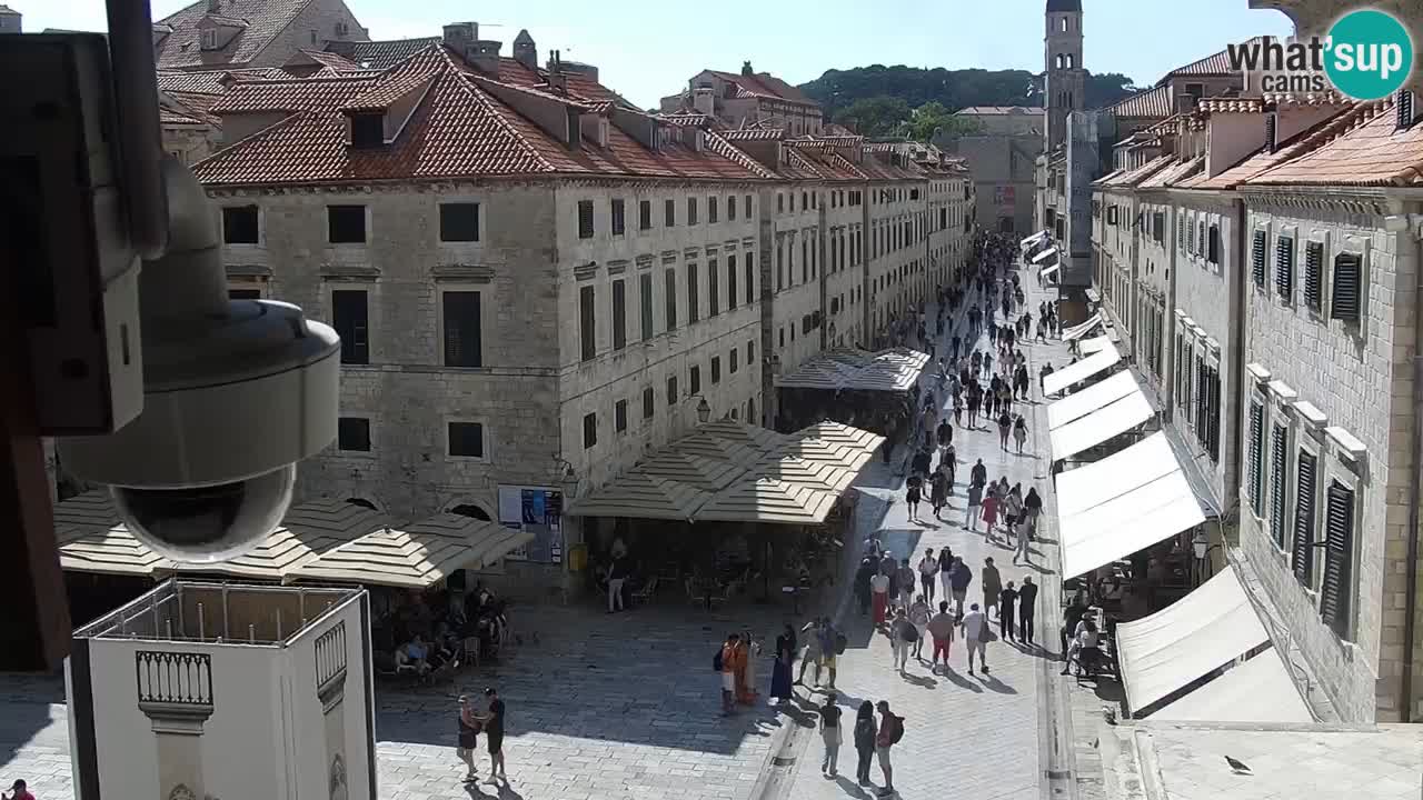 Kamera v živo Dubrovnik Stradun / Placa