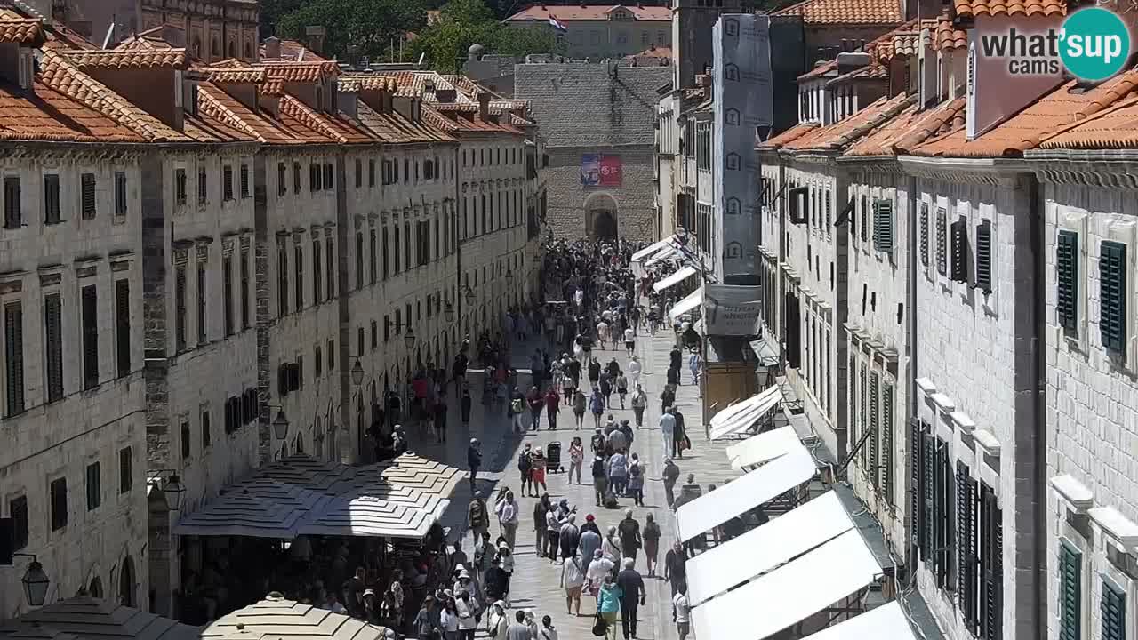 Webcam Ragusa (Dubrovnik) Stradun