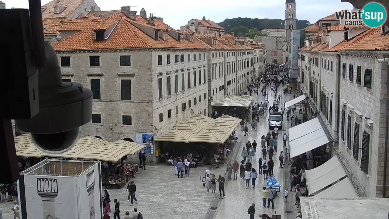 Live Webcam Dubrovnik Stradun