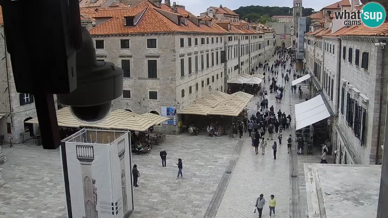 Live Webcam Dubrovnik Stradun