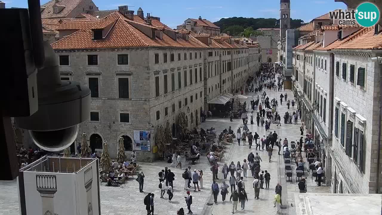 Livecam Dubrovnik Stradun