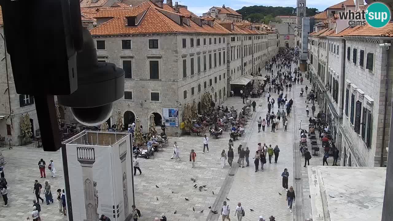 Livecam Dubrovnik Stradun