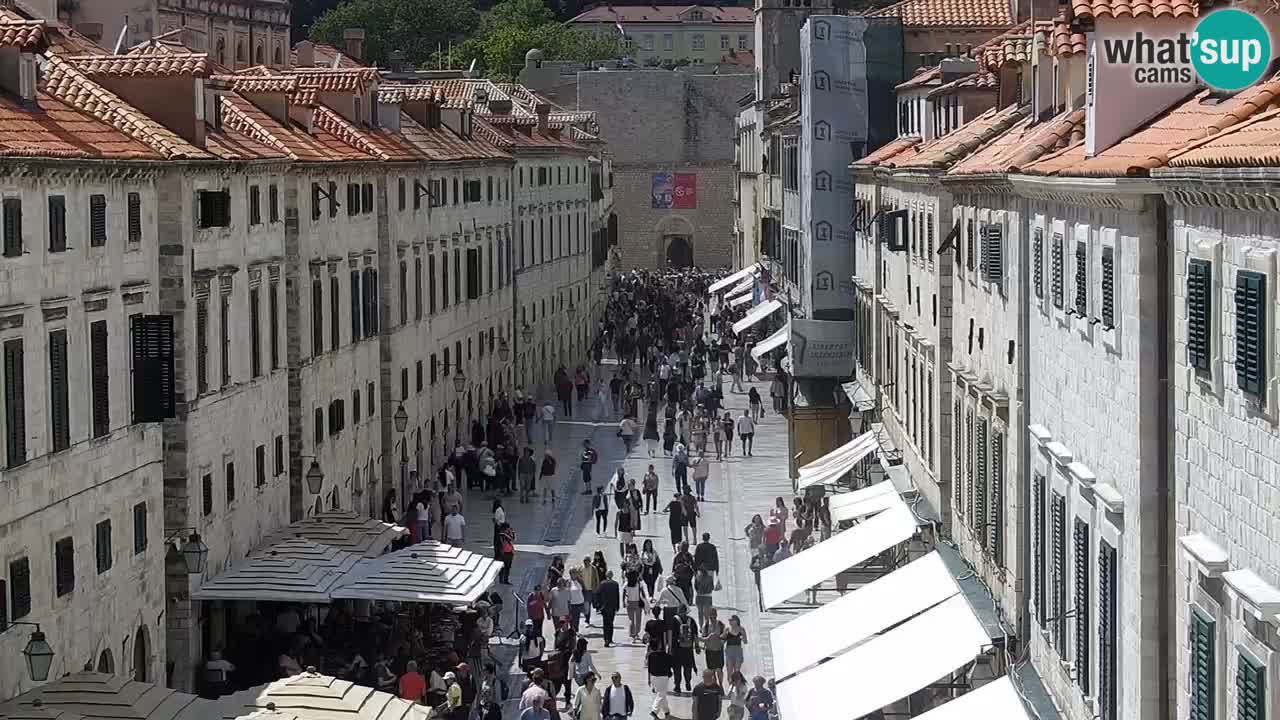 Live Webcam Dubrovnik Stradun