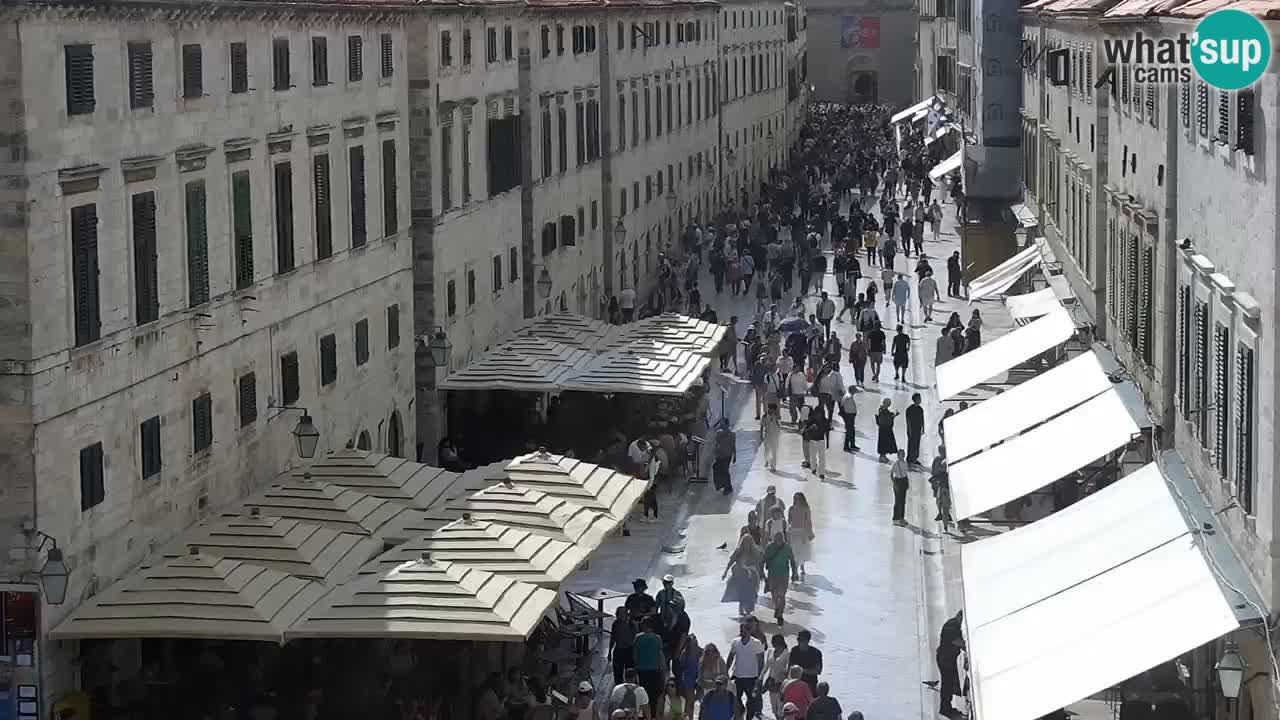 Camera en vivo Dubrovnik Stradun