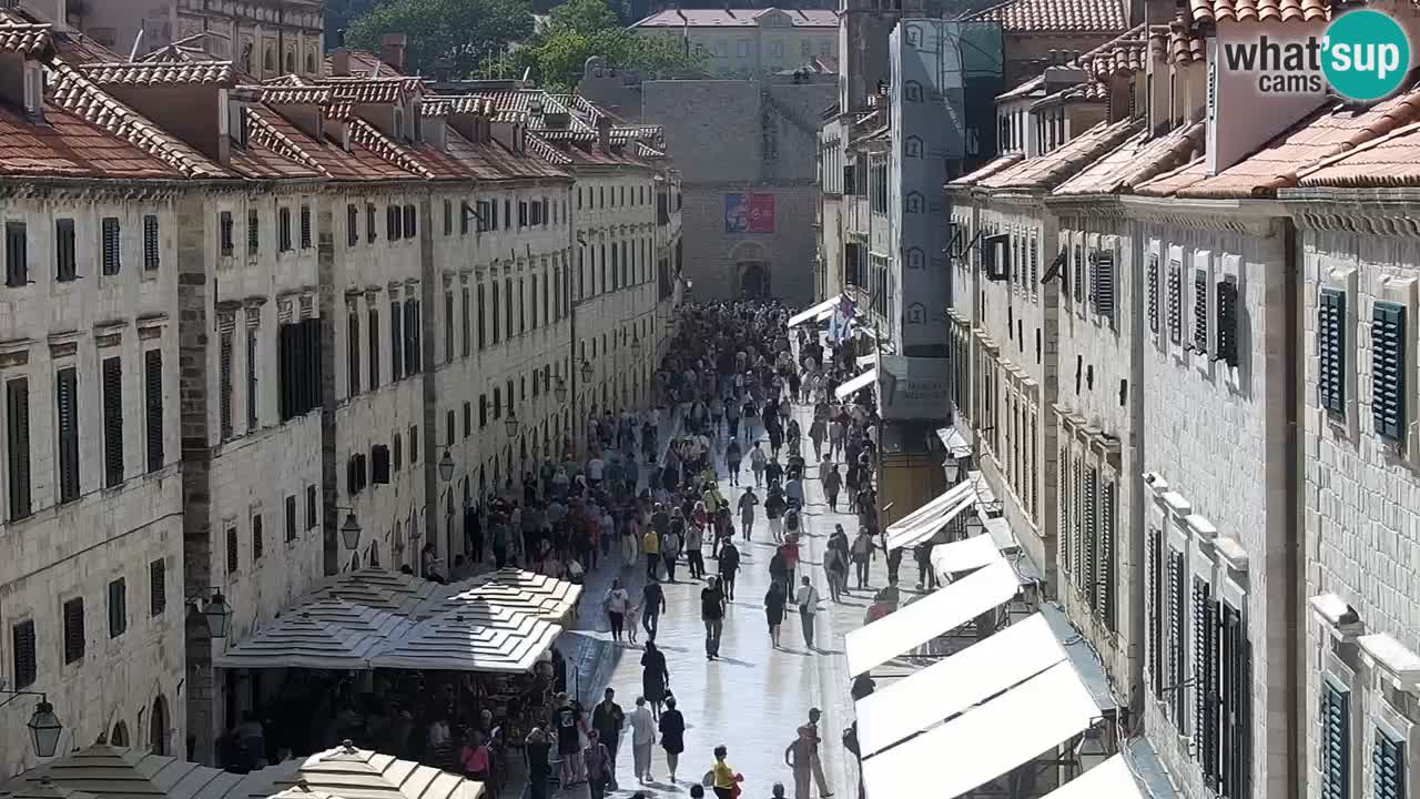 Webcam Ragusa (Dubrovnik) Stradun