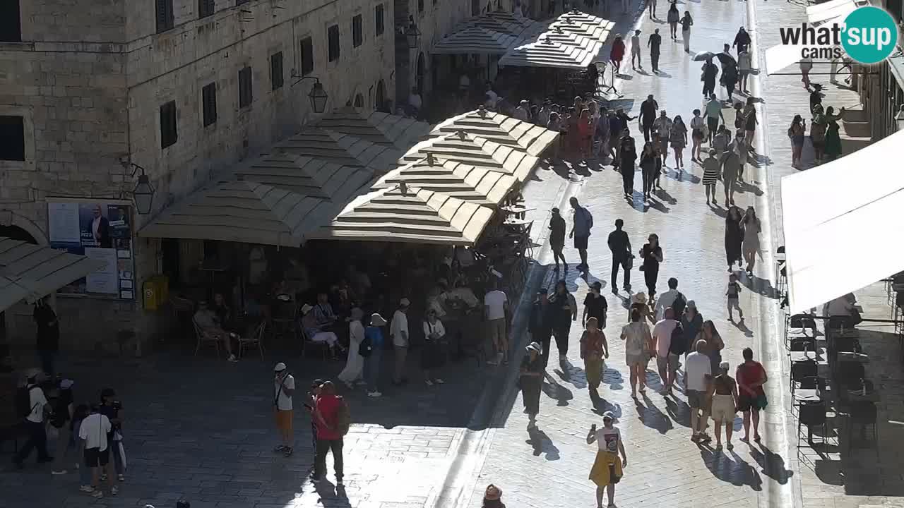 Live Webcam Dubrovnik Stradun