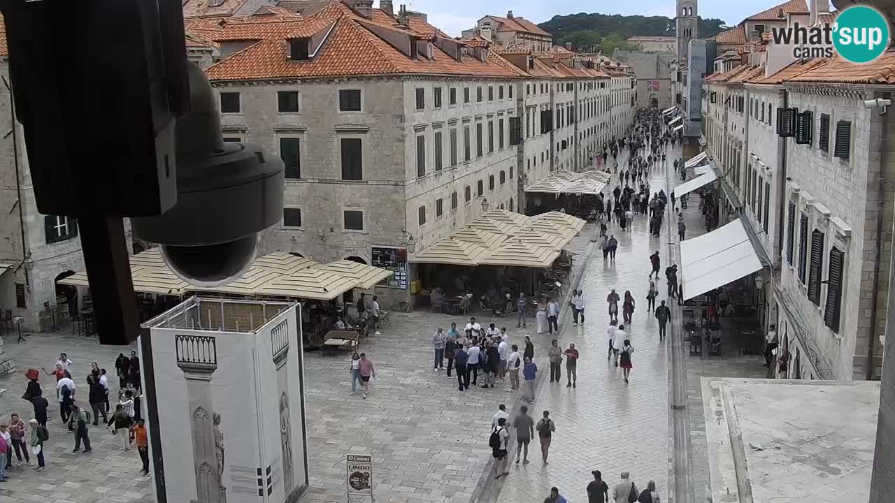Live Webcam Dubrovnik Stradun