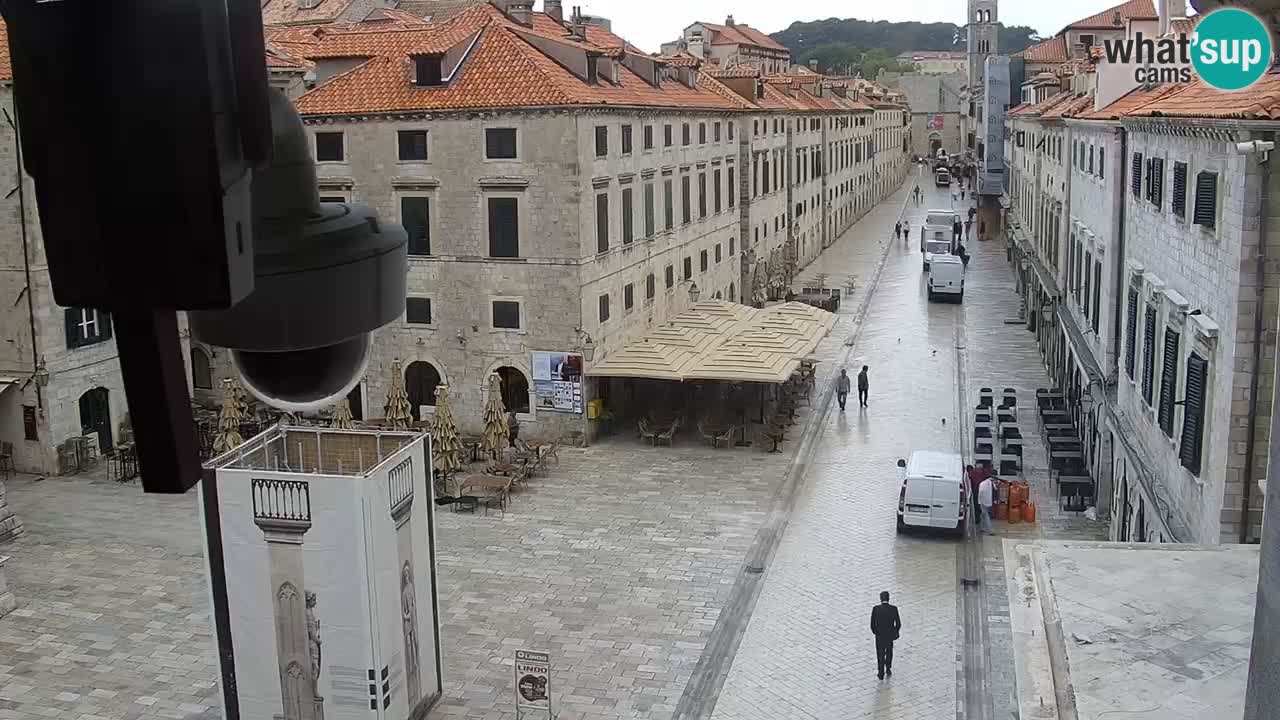 Live Webcam Dubrovnik Stradun