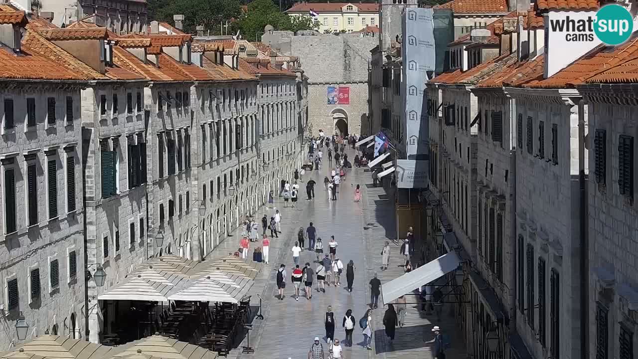 Live Webcam Dubrovnik Stradun