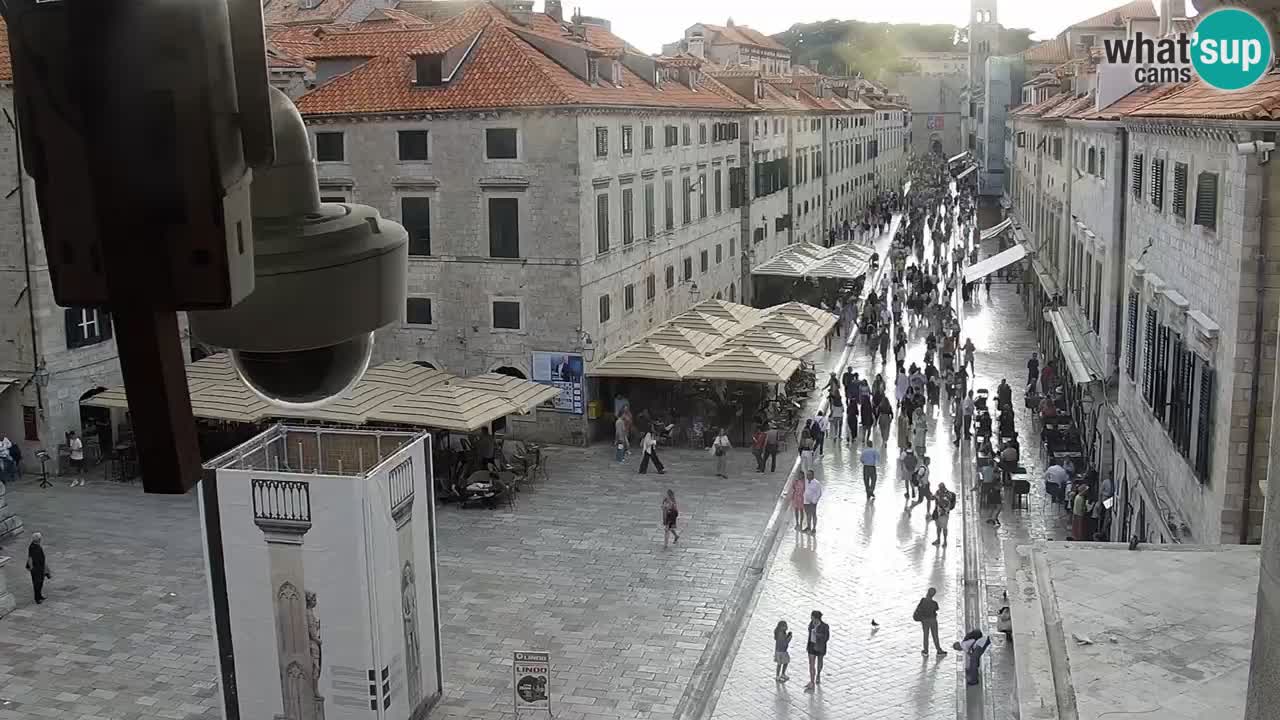 Live Webcam Dubrovnik Stradun