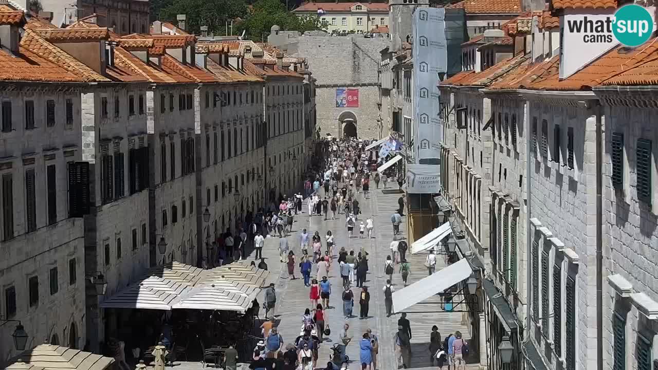 Live Webcam Dubrovnik Stradun