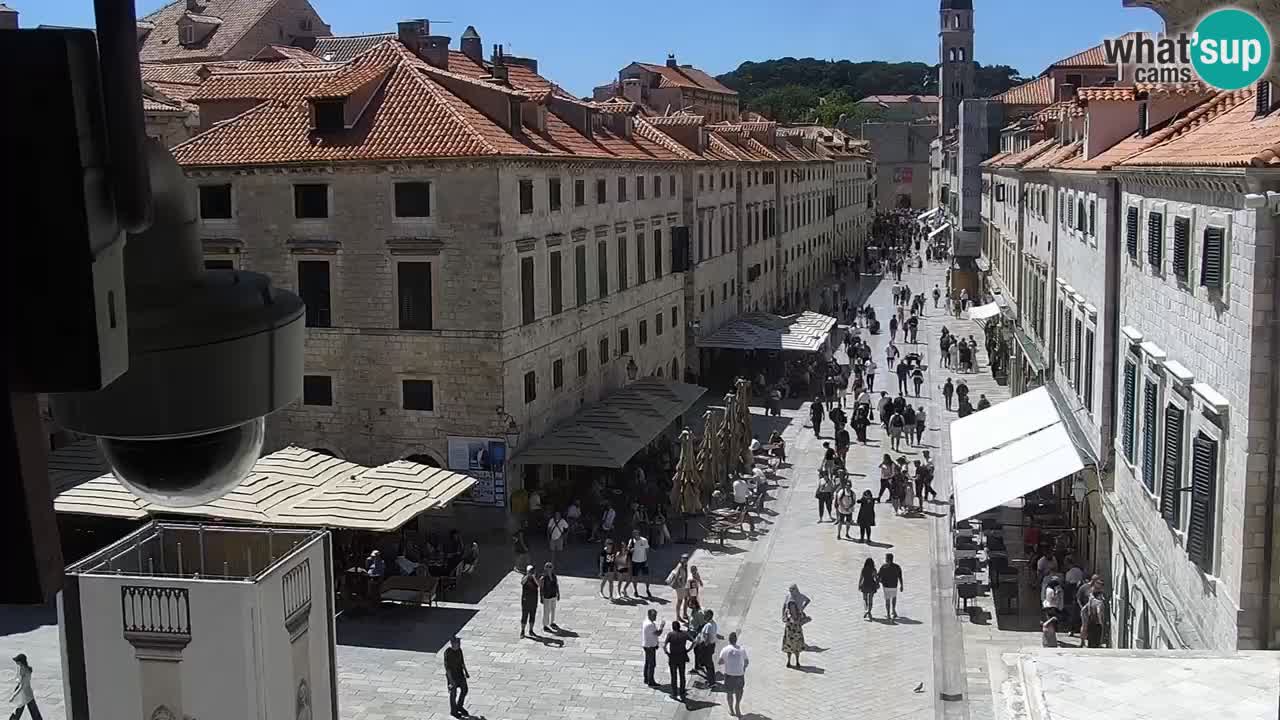 Livecam Dubrovnik Stradun