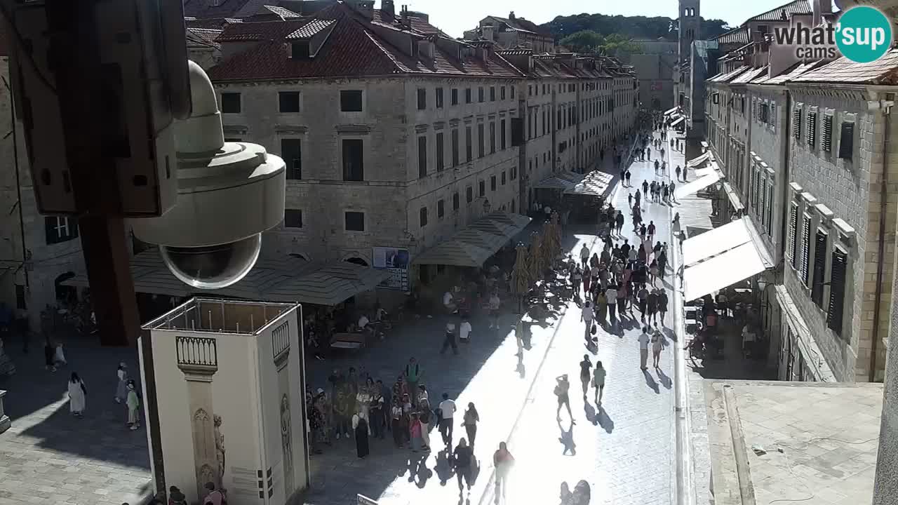 Camera en vivo Dubrovnik Stradun