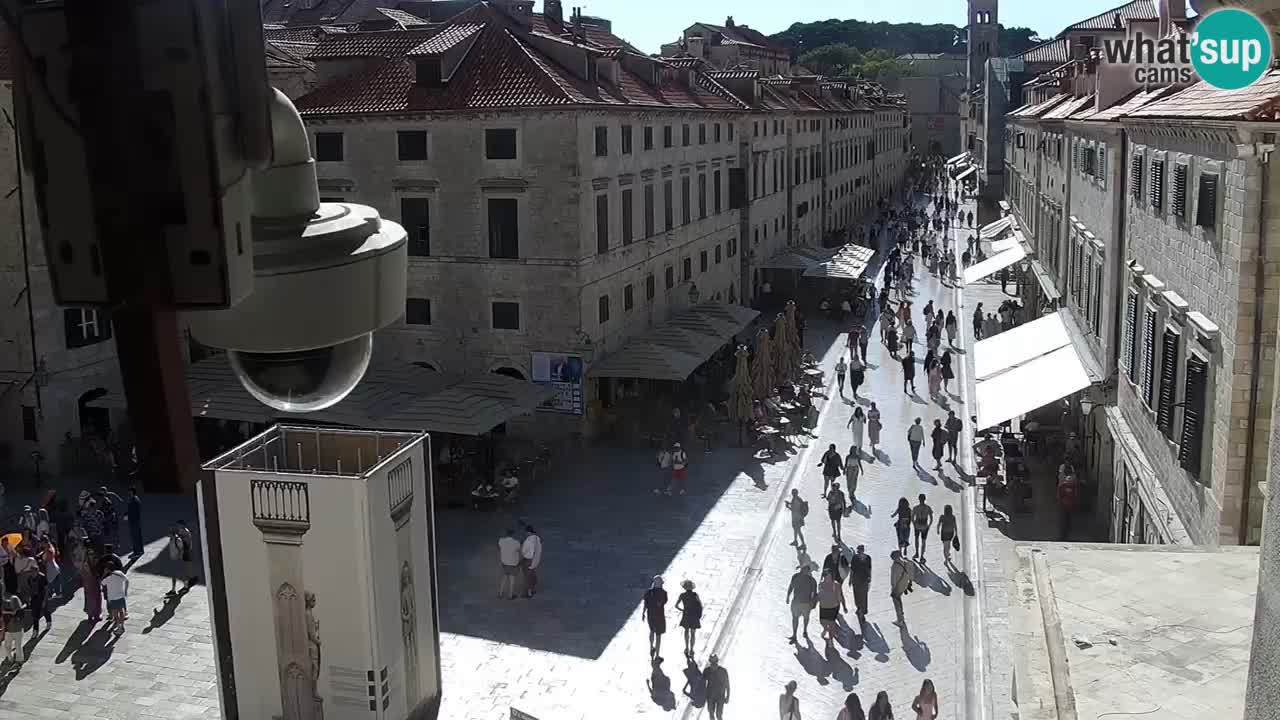 Camera en vivo Dubrovnik Stradun