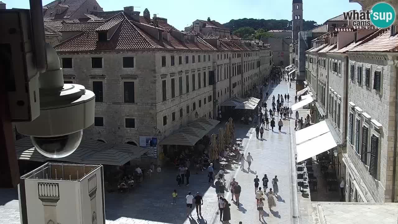 Camera en vivo Dubrovnik Stradun
