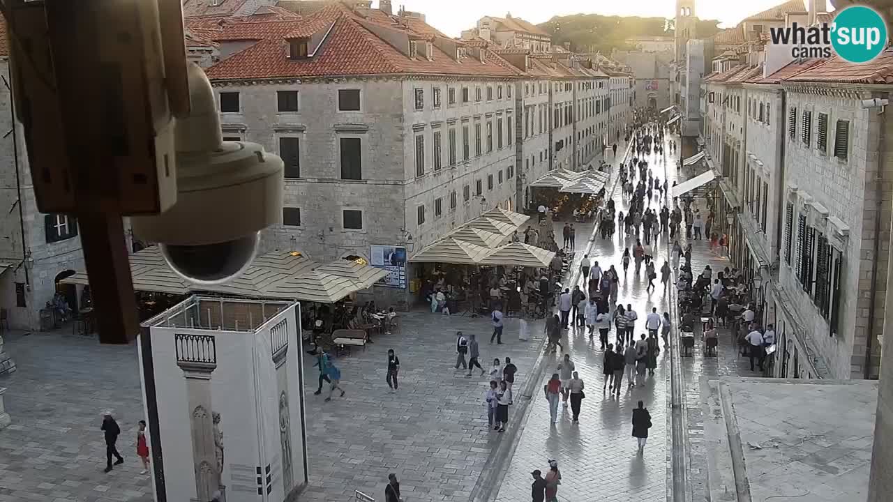 Camera en vivo Dubrovnik Stradun