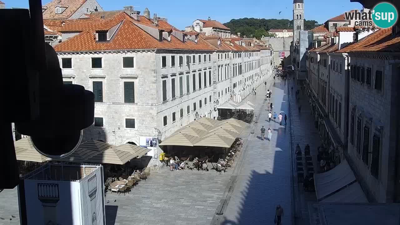 Live Webcam Dubrovnik Stradun