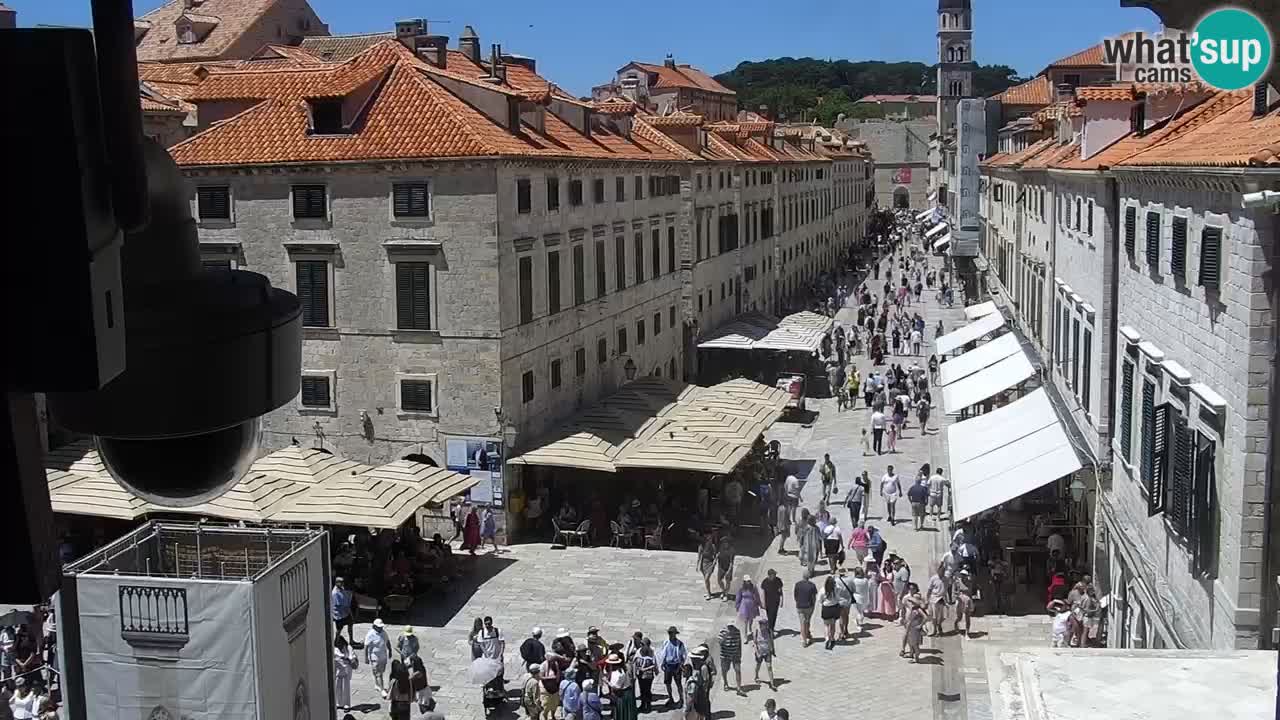 Livecam Dubrovnik Stradun
