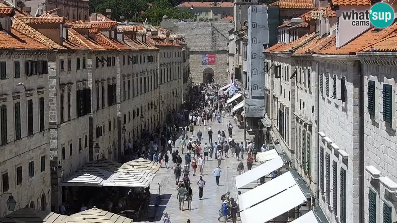Livecam Dubrovnik Stradun