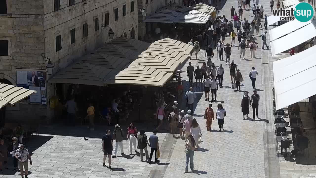 Camera en vivo Dubrovnik Stradun