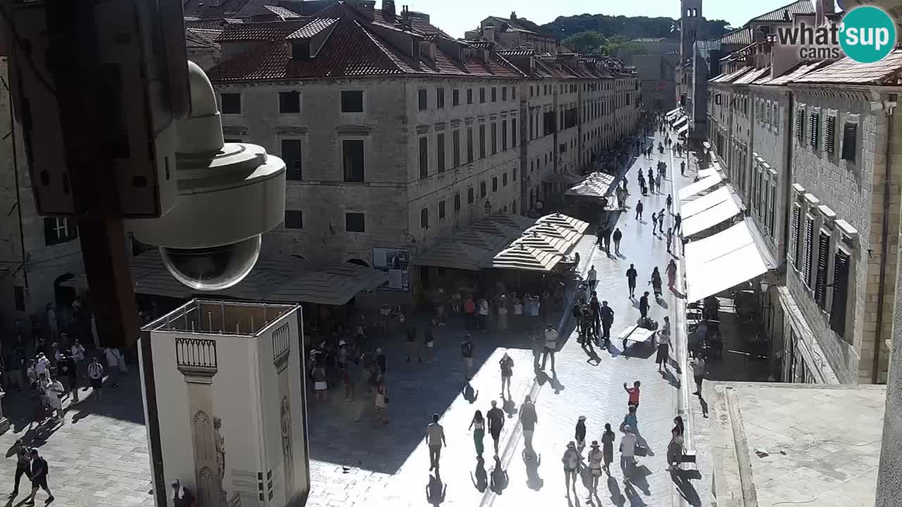 Webcam Ragusa (Dubrovnik) Stradun