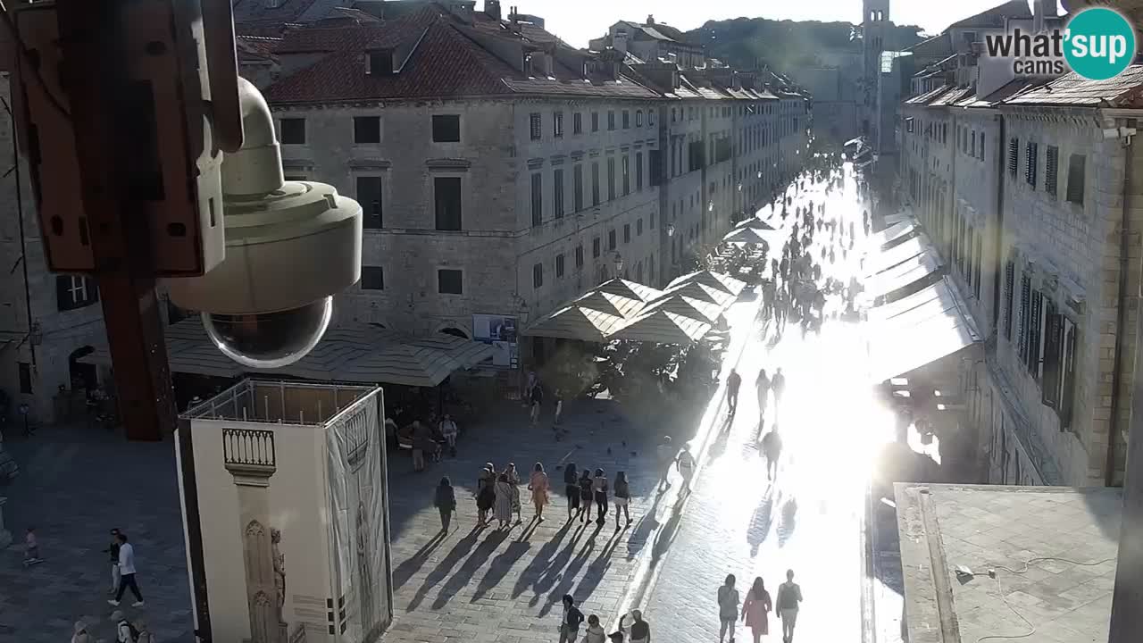 Camera en vivo Dubrovnik Stradun