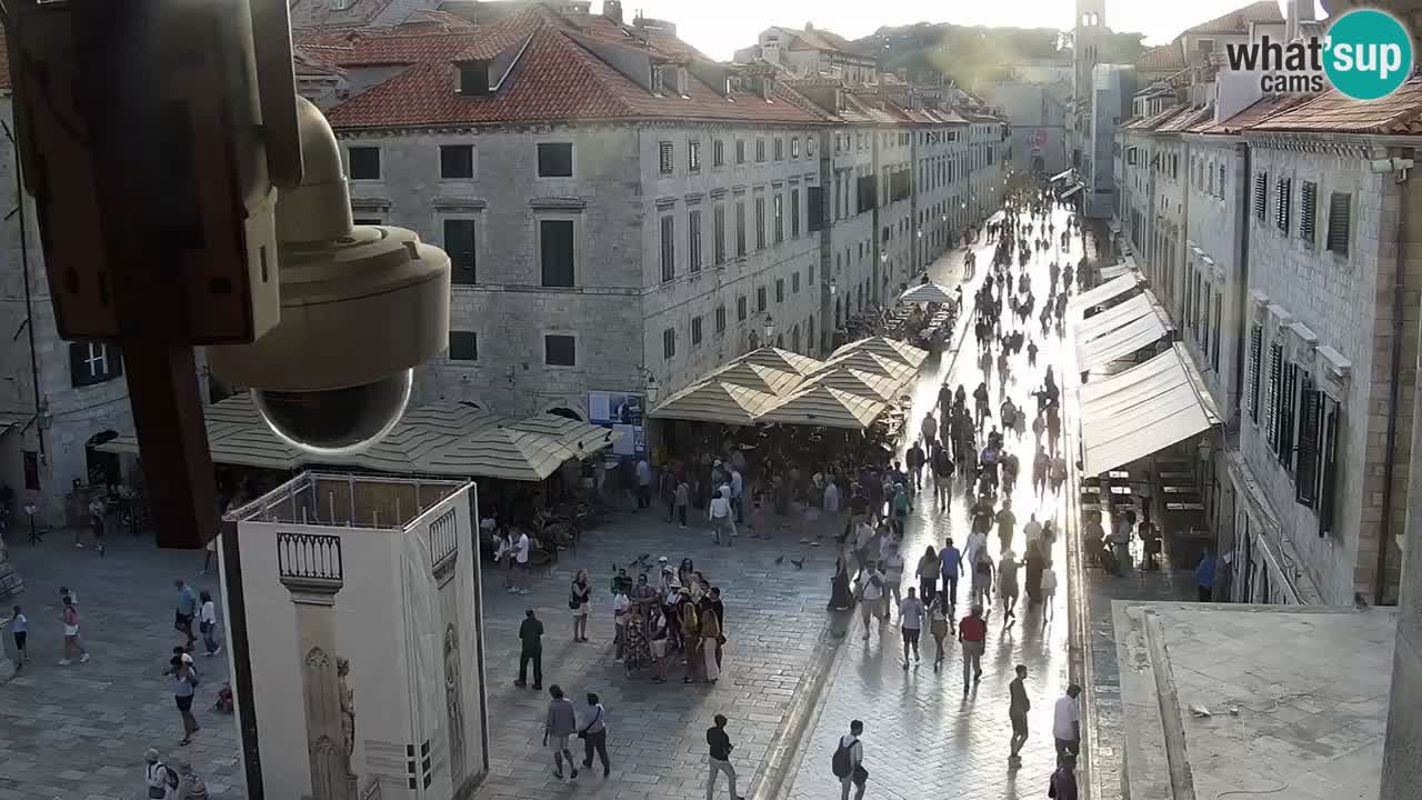 Camera en vivo Dubrovnik Stradun