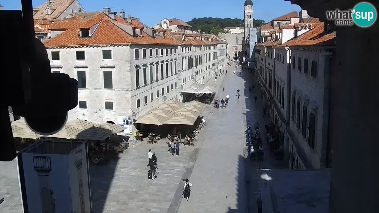 Livecam Dubrovnik Stradun