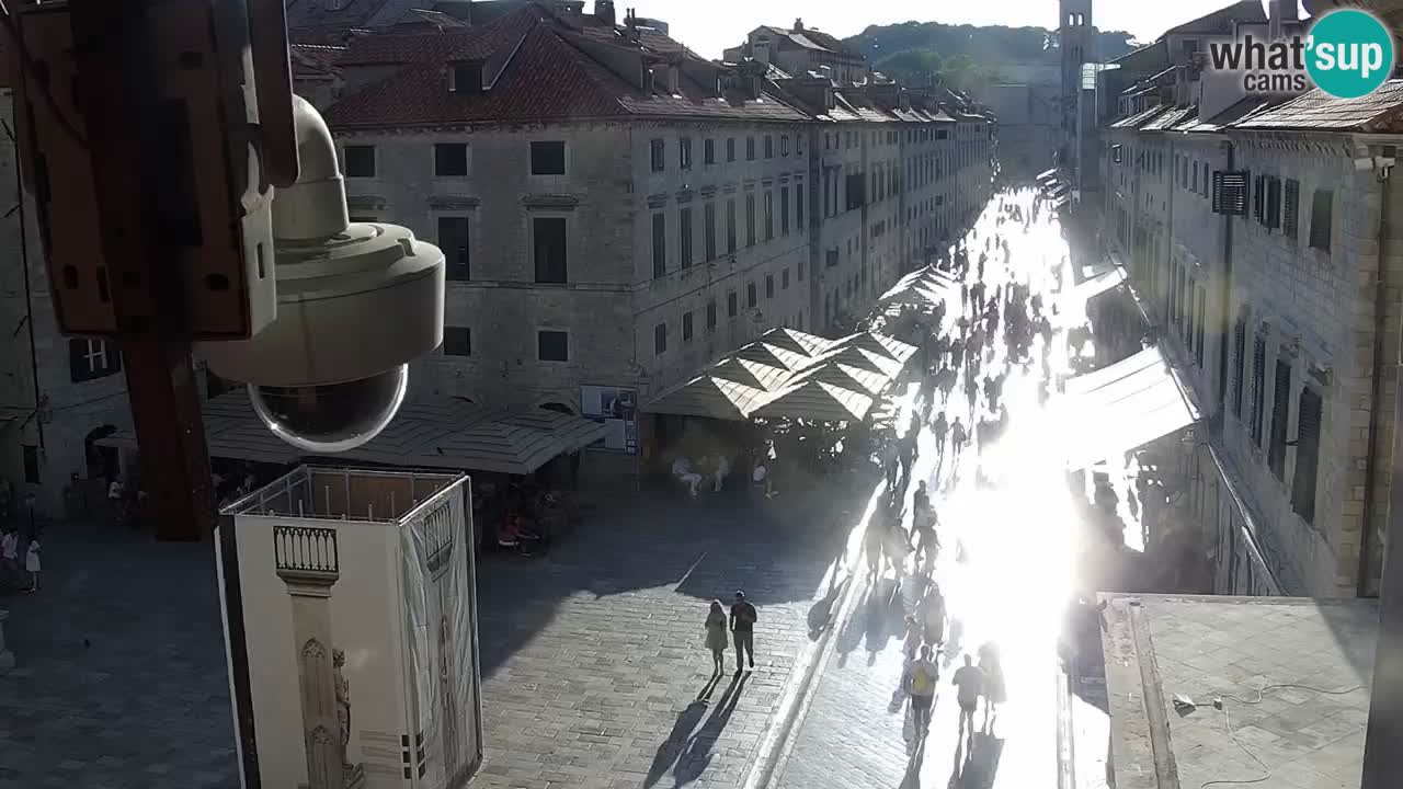 Camera en vivo Dubrovnik Stradun