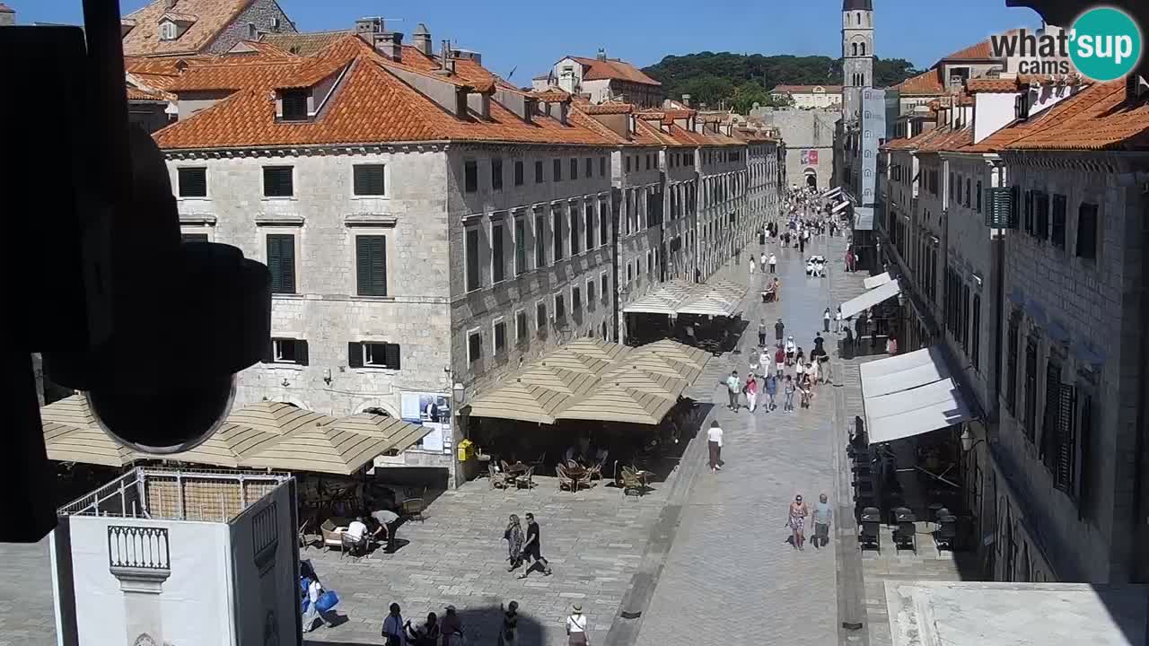 Livecam Dubrovnik Stradun