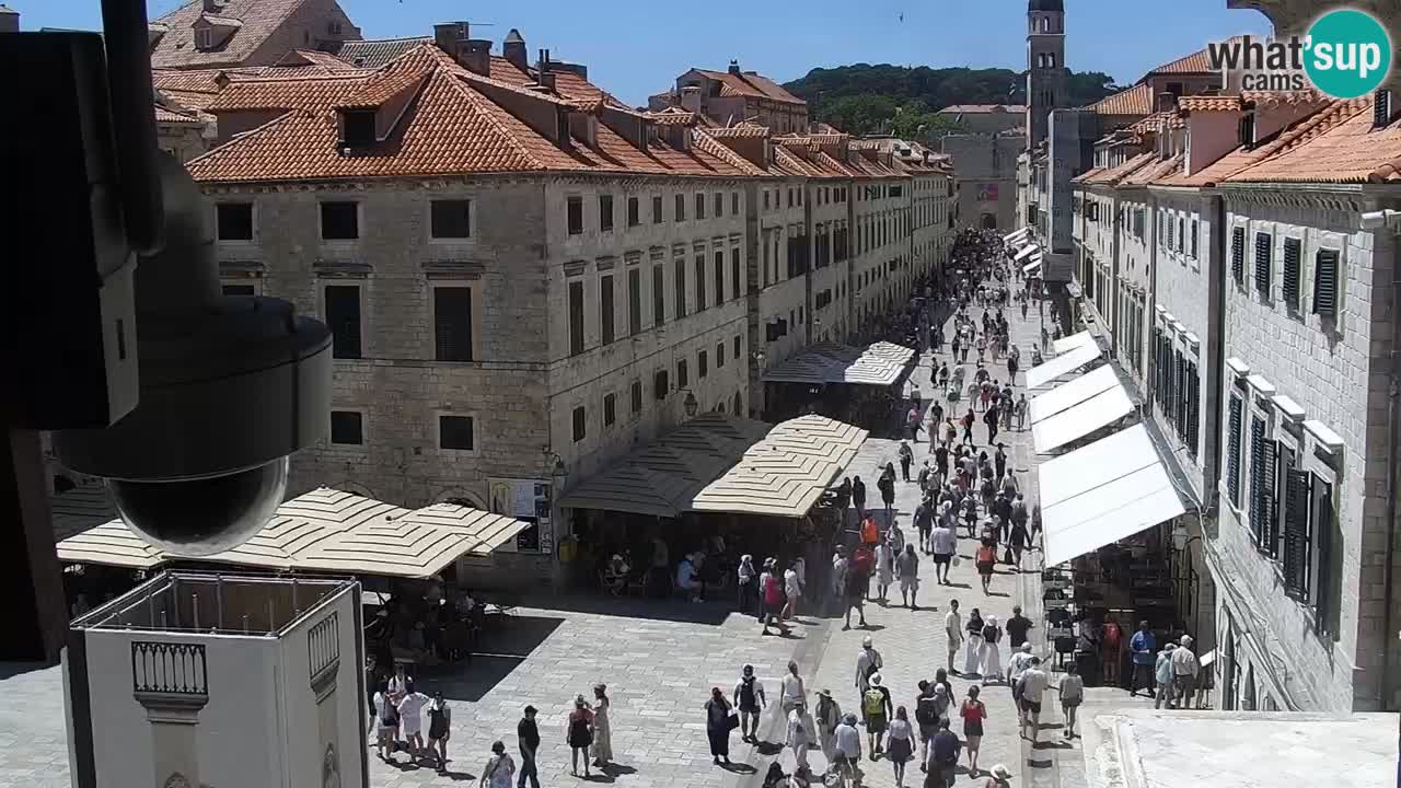 Livecam Dubrovnik Stradun