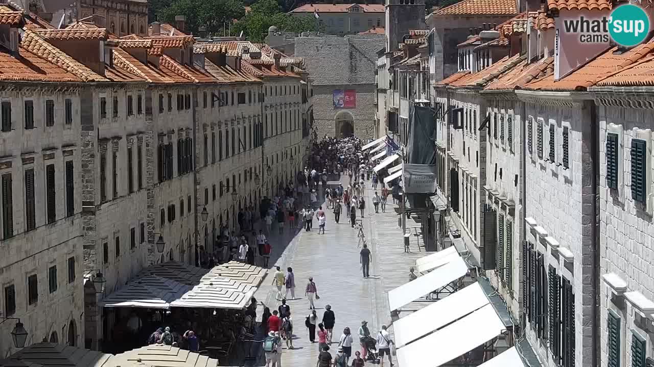 Camera en vivo Dubrovnik Stradun