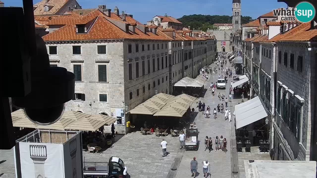 Live Webcam Dubrovnik Stradun